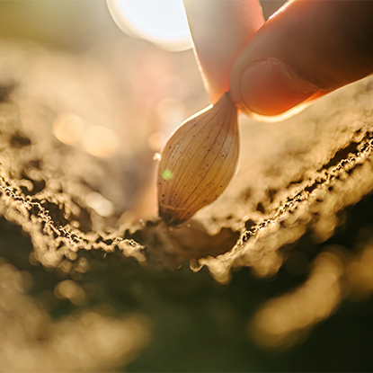 Agricultura si Silvicultură