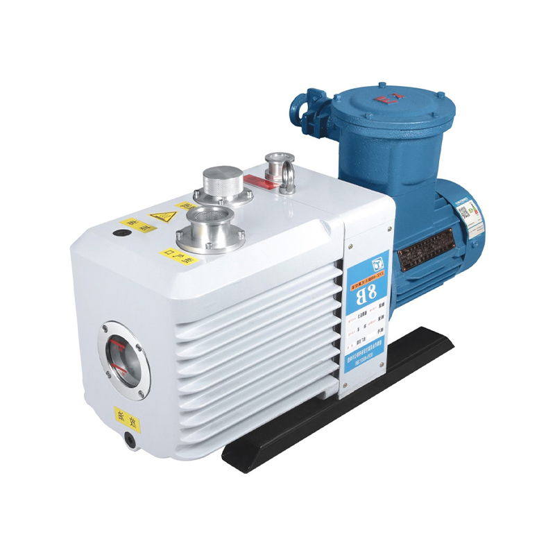 Structura în două trepte care se potrivește Stabilitate ridicată Pompă de vid rezistentă la explozie