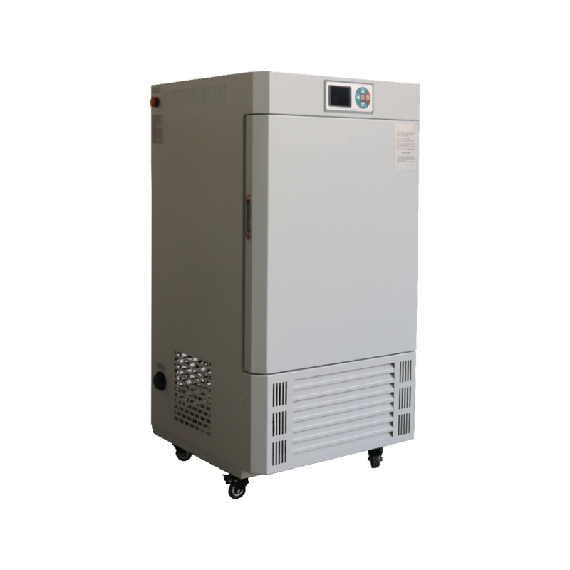 Design cu două uși Incubator de mucegai rezistent la coroziune